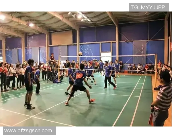 上海排球队的意识提升与团队凝聚力探讨